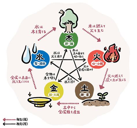 五行 金 性質|五行の金の性質を読み解く！キーワードは秩序・収穫・純粋さ